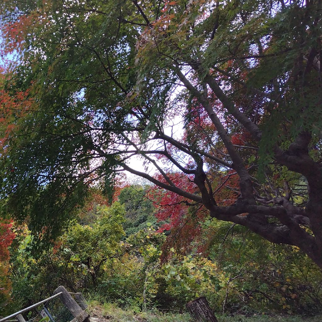 人に対しての疑惑や不快感の原因が1つ分かった話