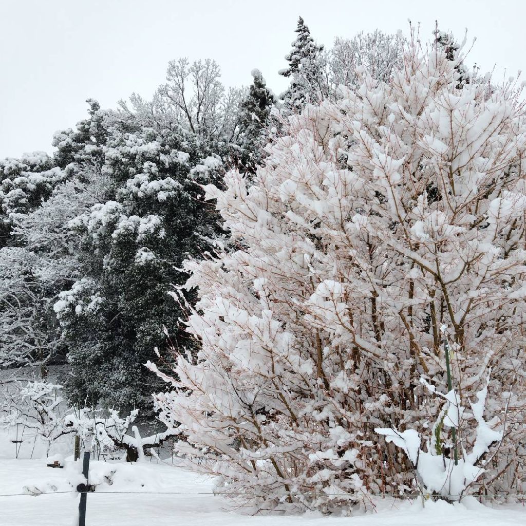 #5 人から忘れられることに傷ついていると気付いた話