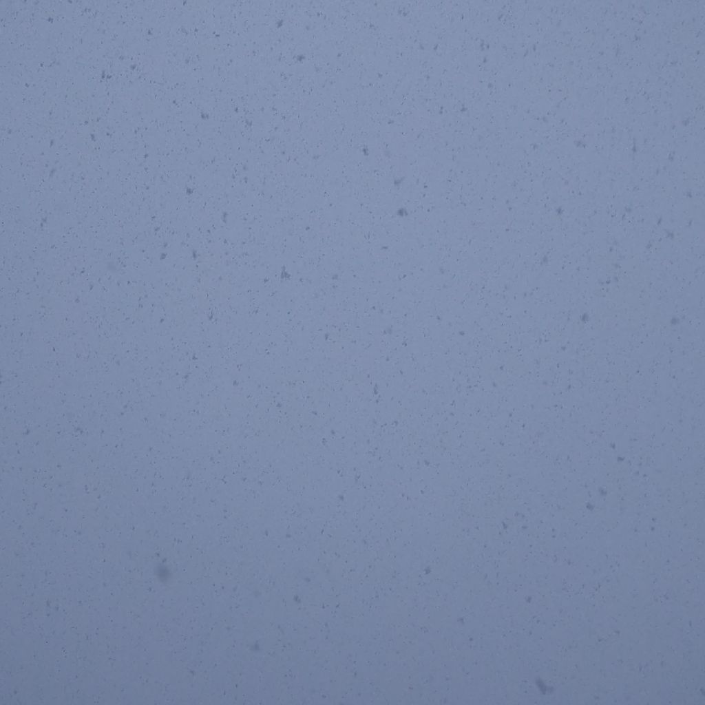 降る雪が強くなってきた