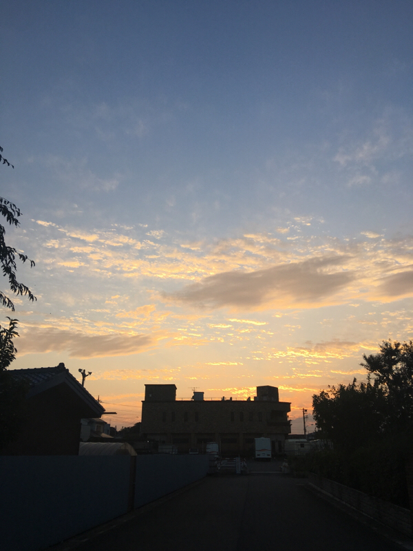 #4 僕は1/5オシャレニスト