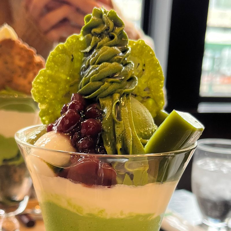 #22 卒業旅行なばなの里と弾丸京都🍡