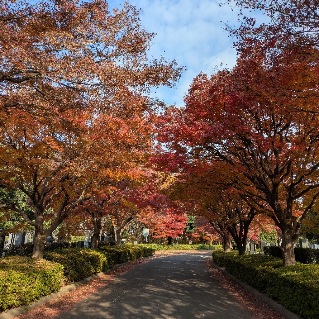 いろいろな玉置浩二