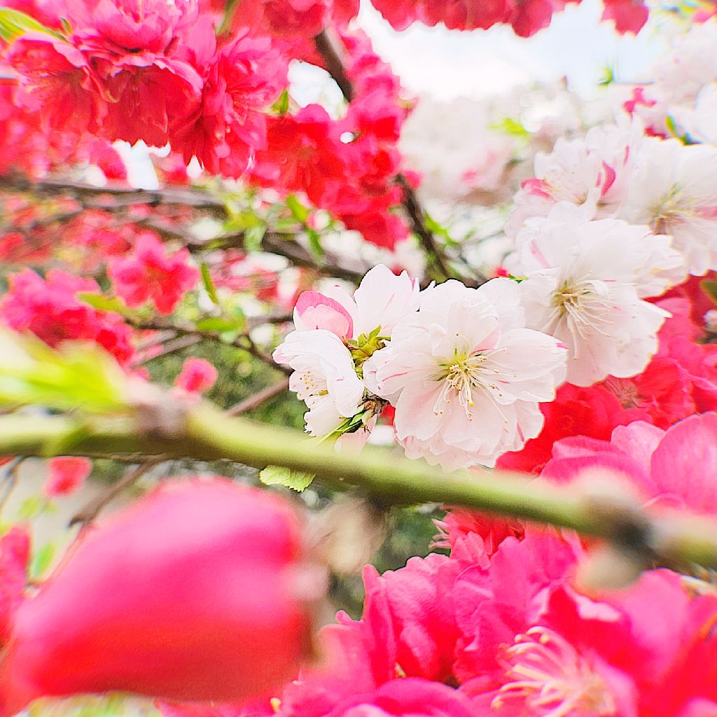 初めまして。お久しぶりです。