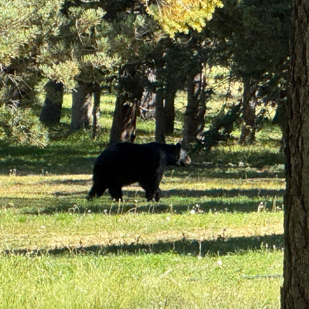 空港での過ごし方について話してみた。