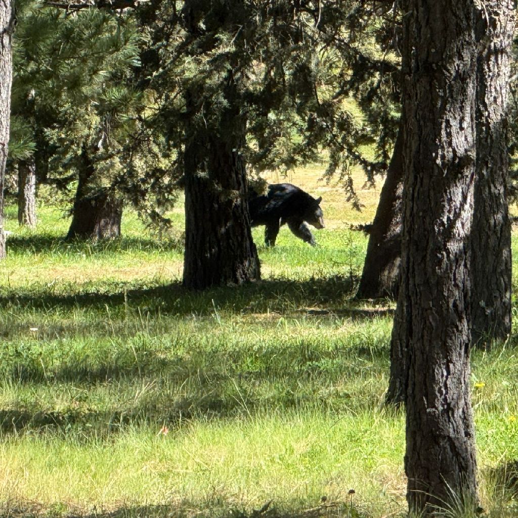 コスタリカに行った話をしてみた。