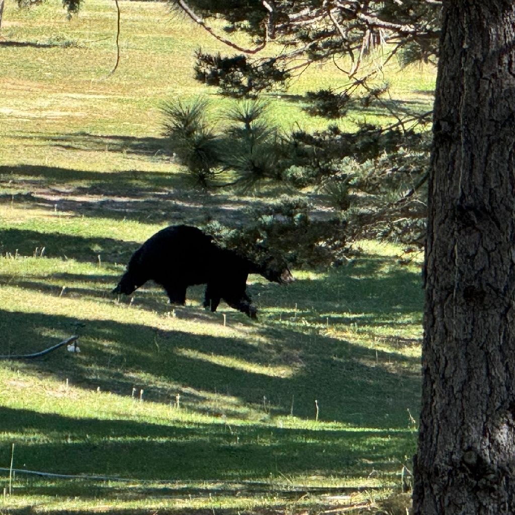 パナマシティでUberの運転手に助けてもらった話