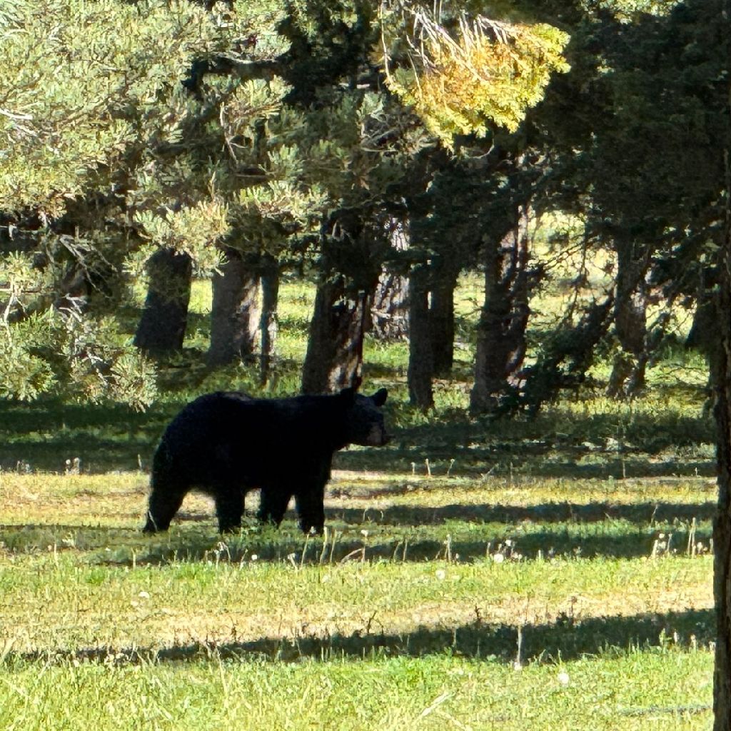 アルゼンチン側からイグアスの滝を見た話。