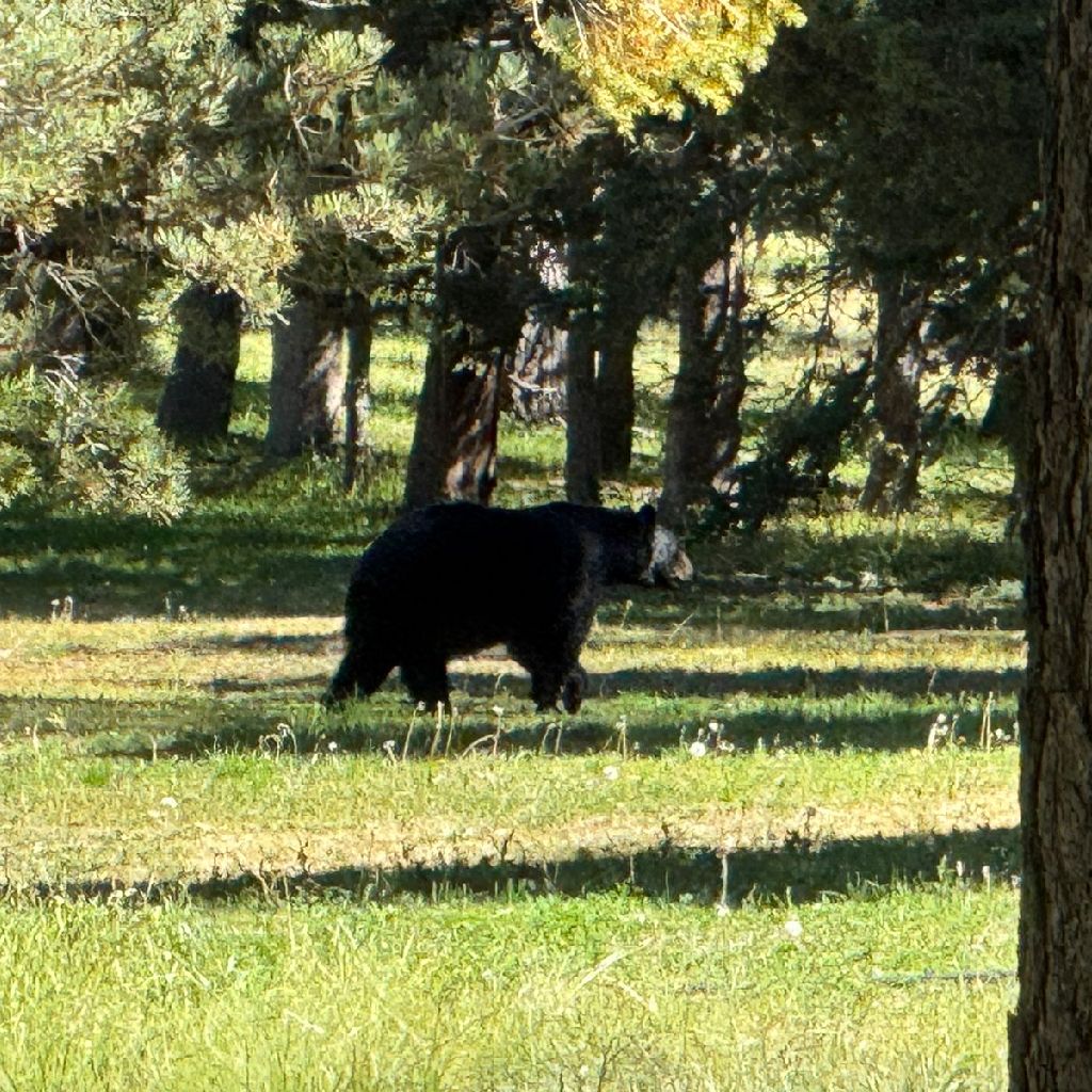 人からの嬉しい報告に素直におめでとうって言いたいよねって話