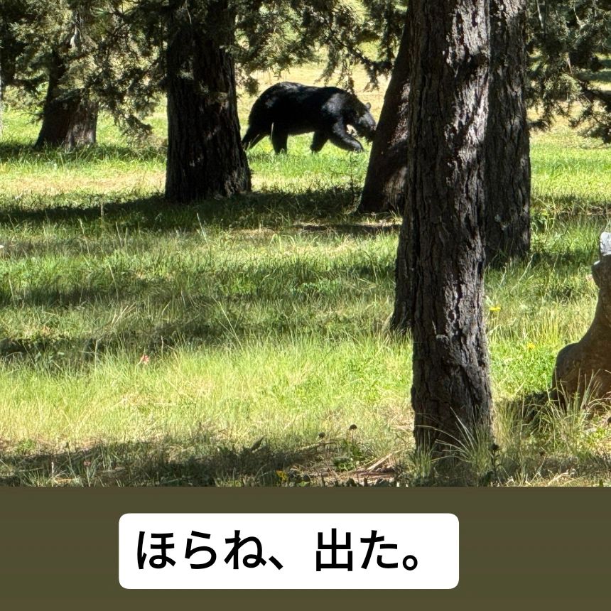 休日の過ごし方について話してみた。