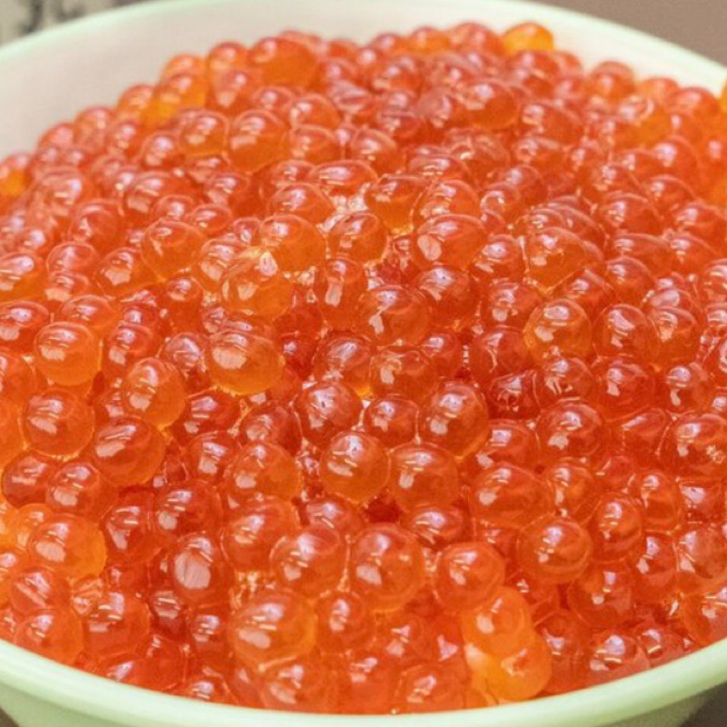 坦ラジのイカちゃん