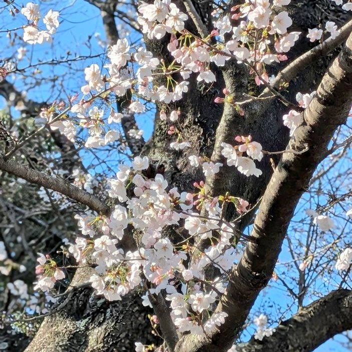 最近やりたい事をちびちびと。