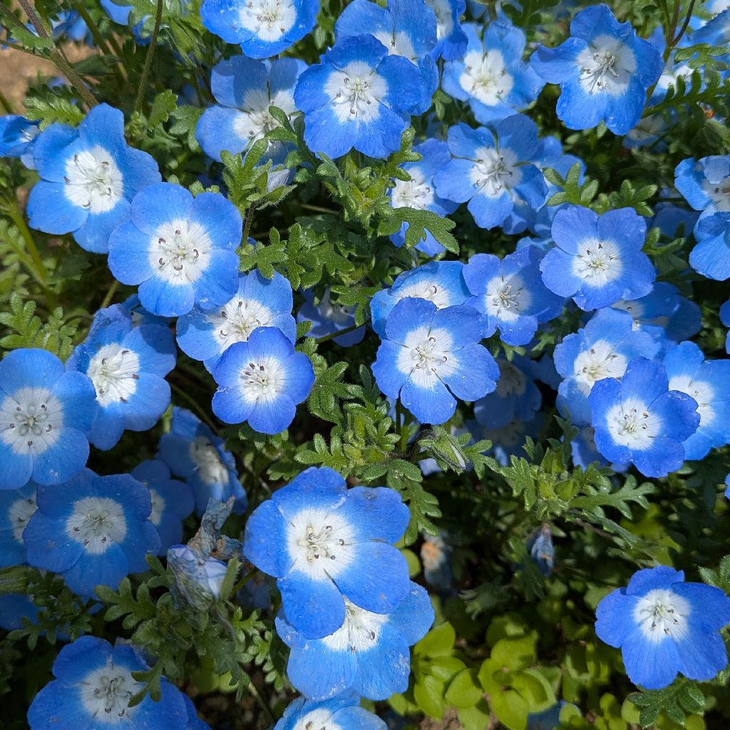 頂いたおたより等でおトーク③🌧️