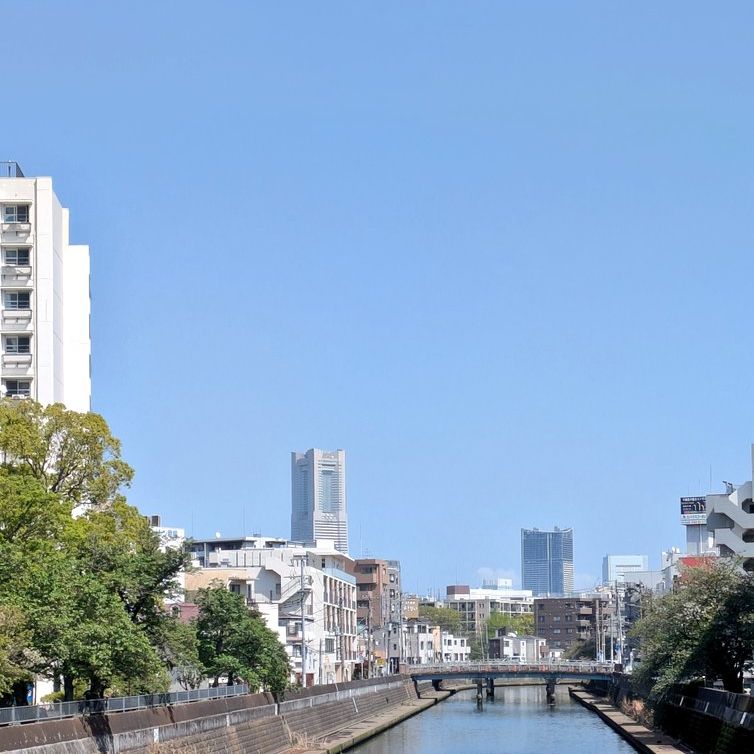 稽古見学等の話🌌🌸