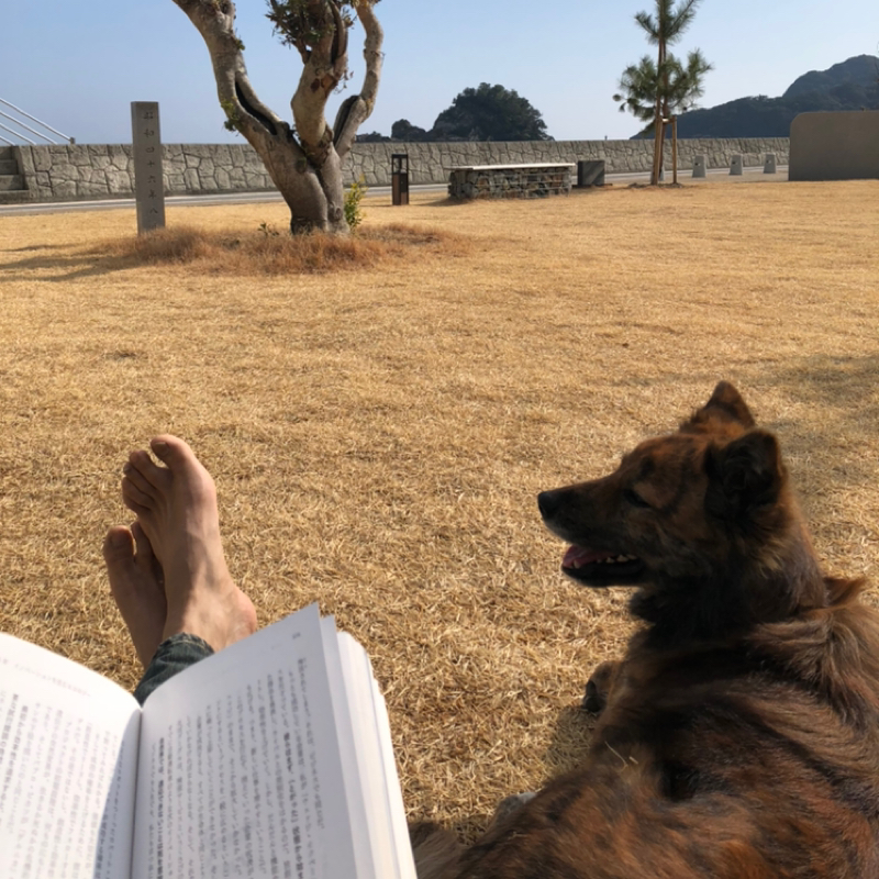 カリフォルニアのギャルの話