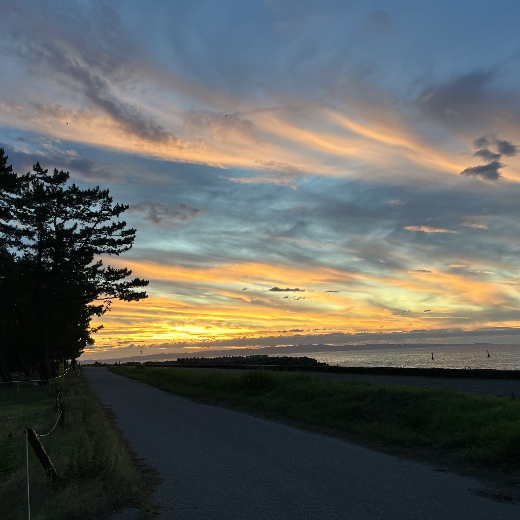 最初のパニック発作が起きてからの経過