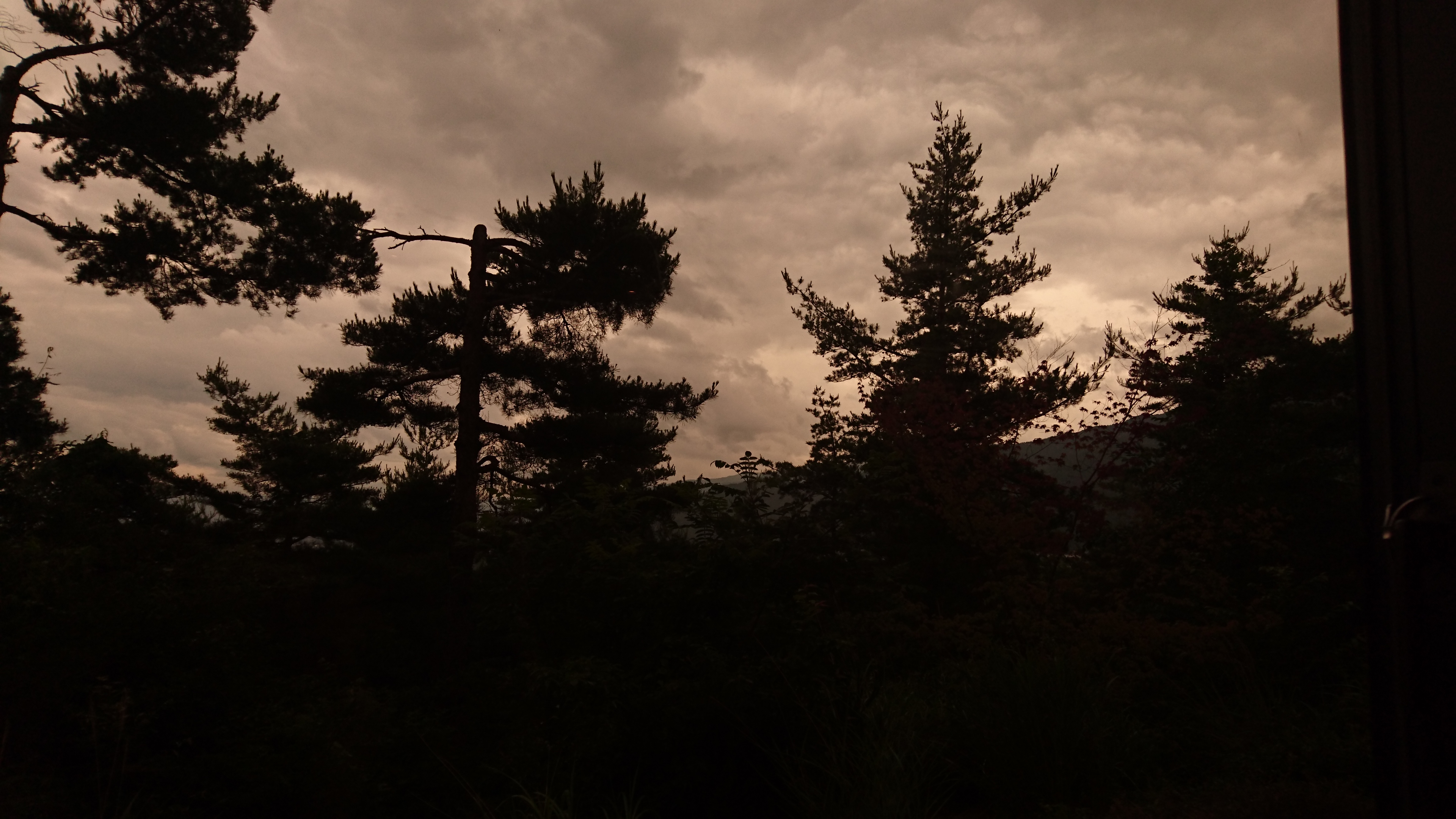 第六回  あわわ、明日面接ですわ…。