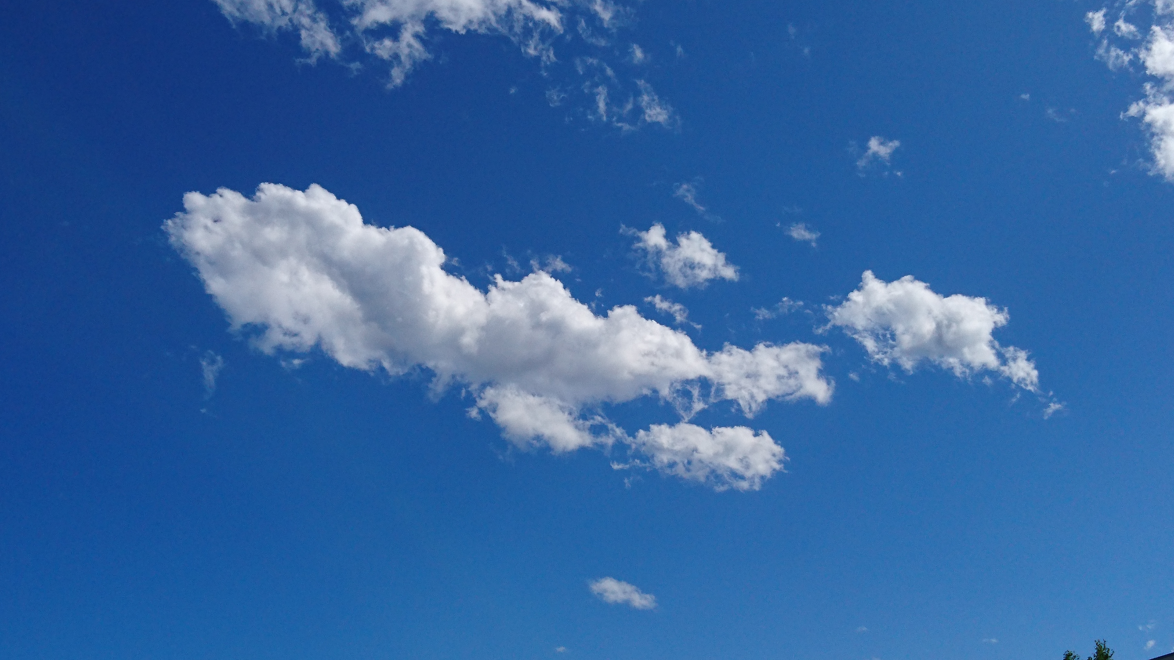 第八回  最近は暑いですね。皆さんも熱中症に気を付けてください！