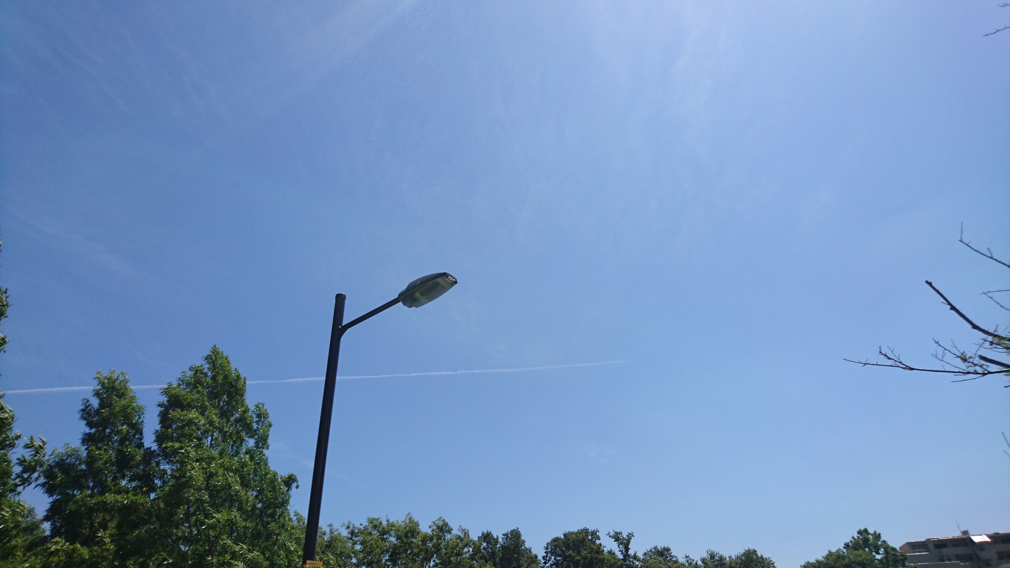 第九回  暑くてたまらんですたい。