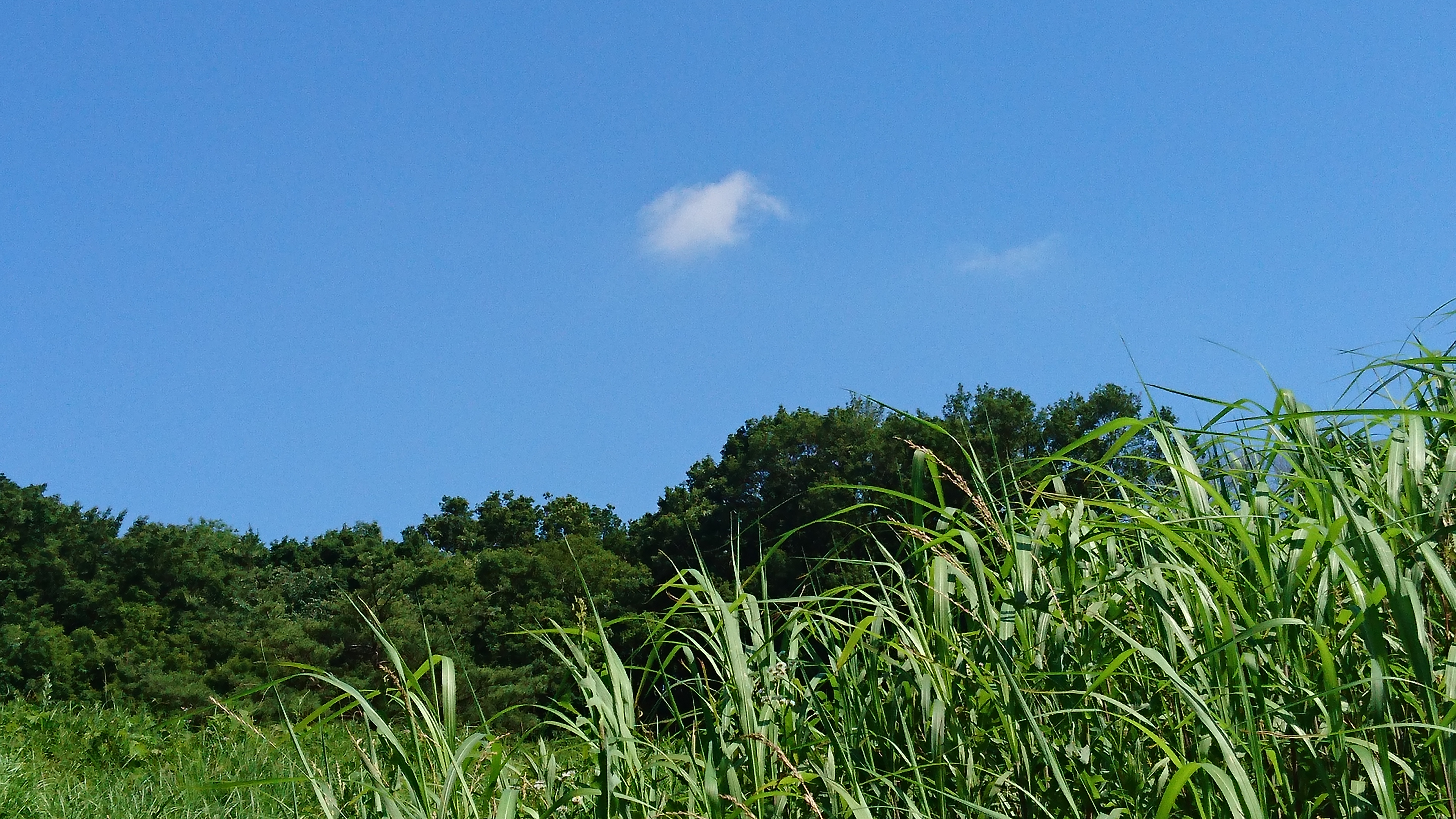 第十回  (後半)  ハキハキしゃべろうな、自分！