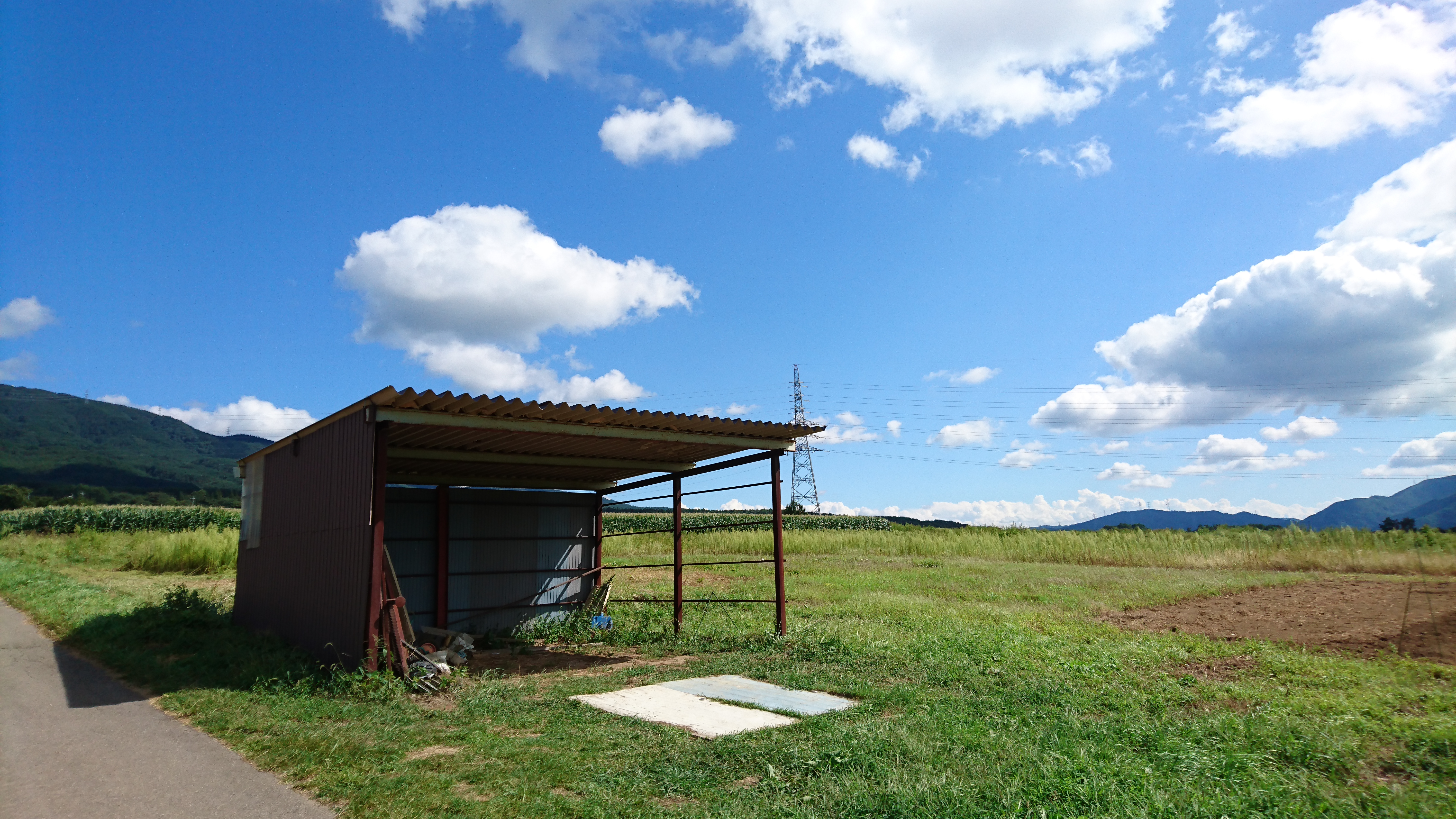 第十二回  腹式呼吸、実践中