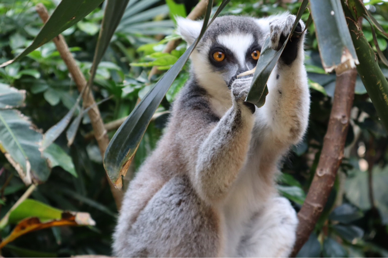 アラサーのつぶやき