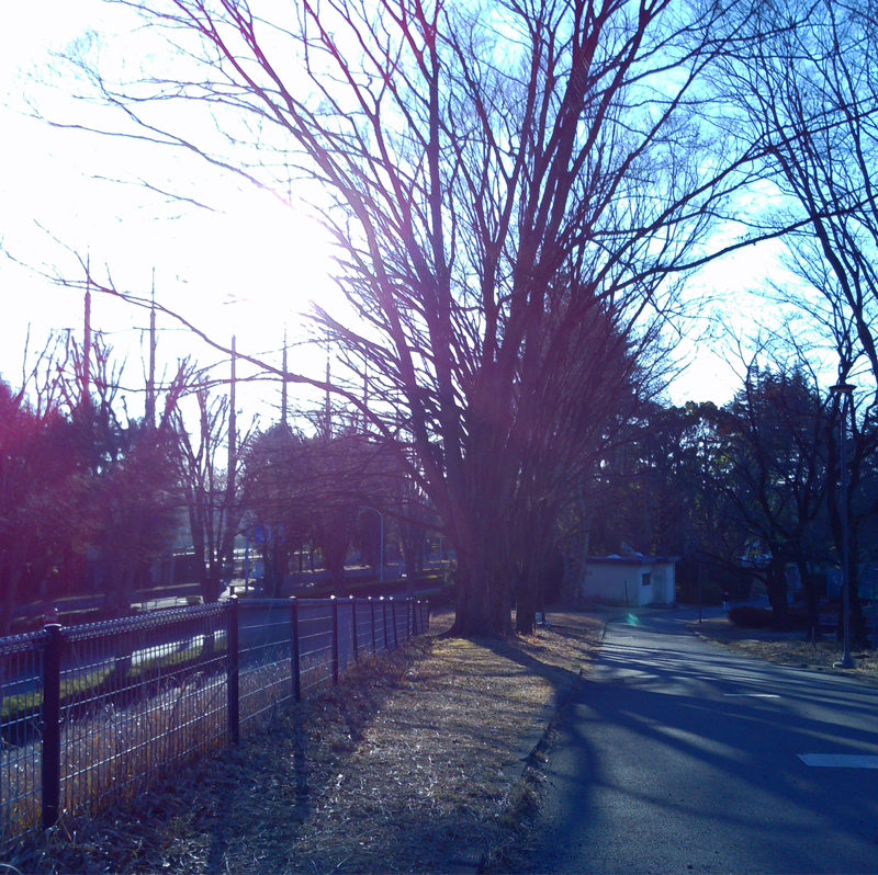 感謝。それが僕なりの震災から感じる誠実な思い