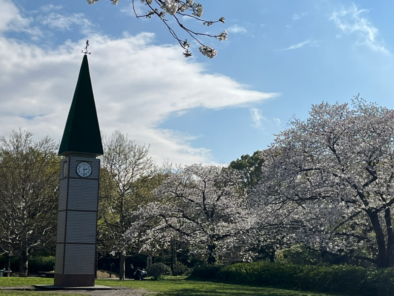 猿江恩賜公園に行ってきました