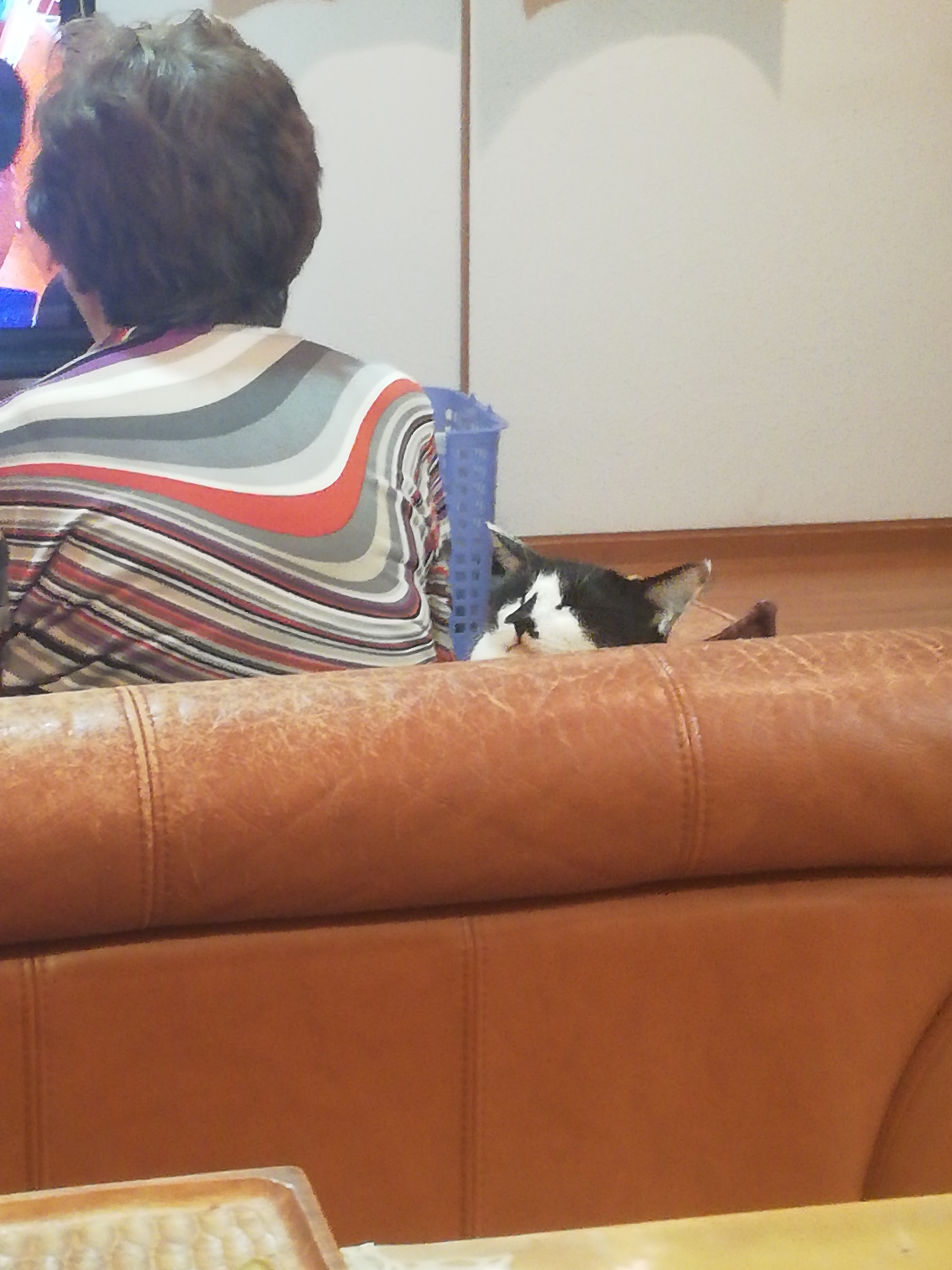 英語を番組に選んだ理由