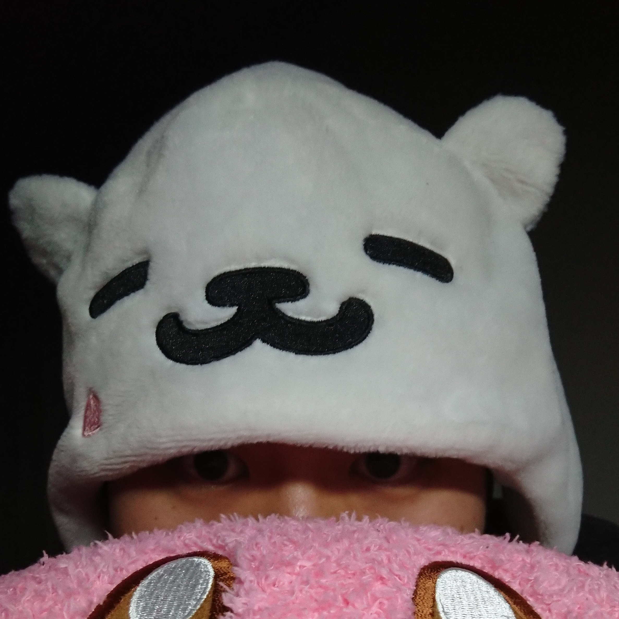 最初の獣ノ話はネット関係の原点について