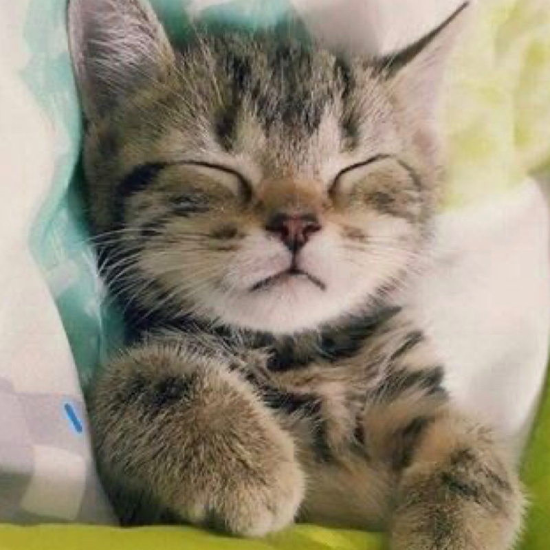 it depends.  It’s situational. その時による