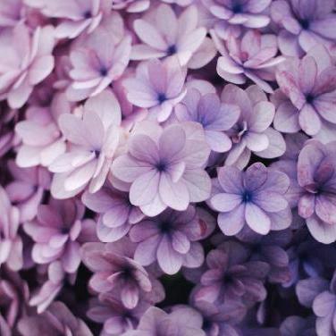 多趣味女子大生の独り言