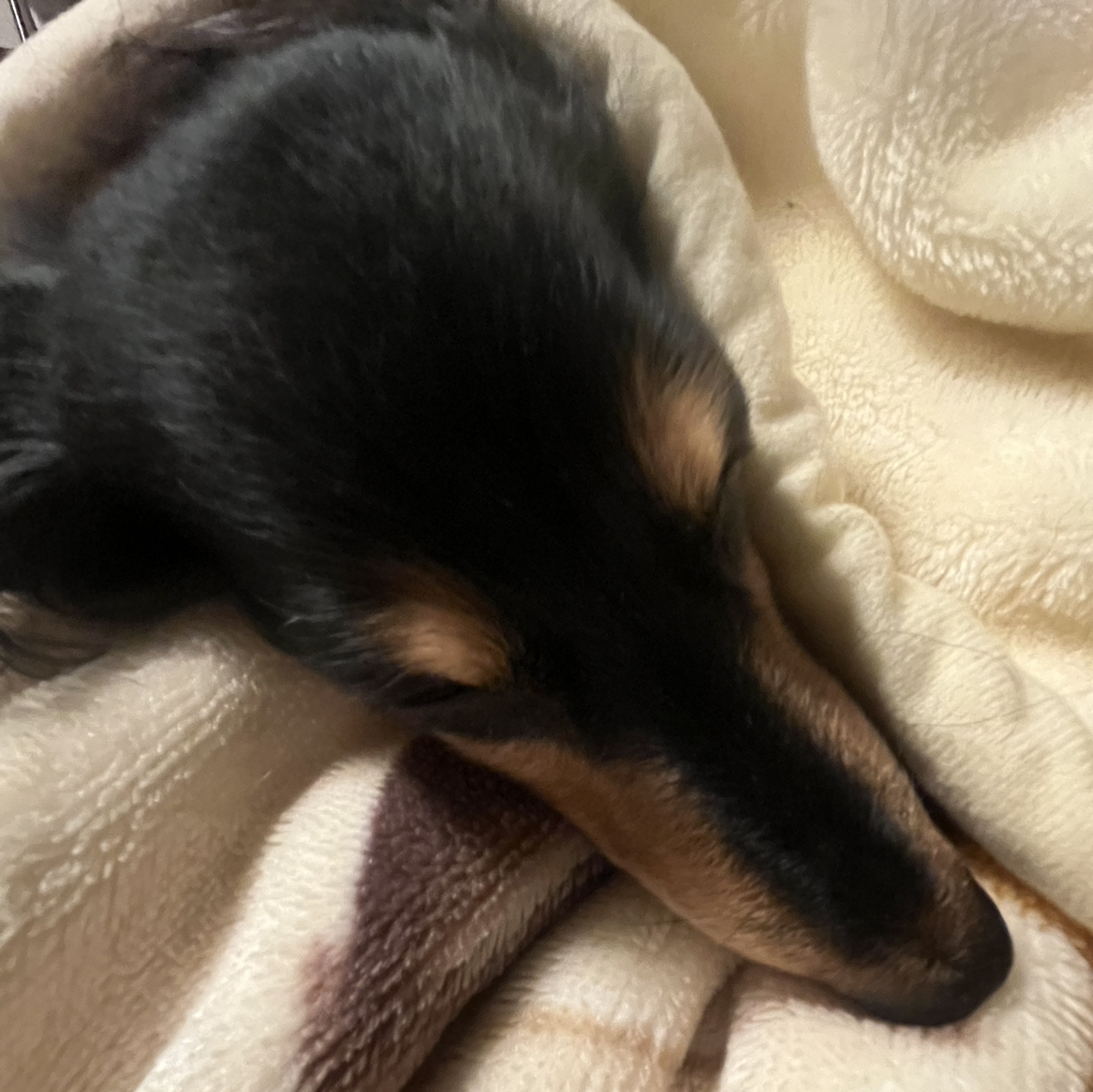 丹田呼吸で癒されて