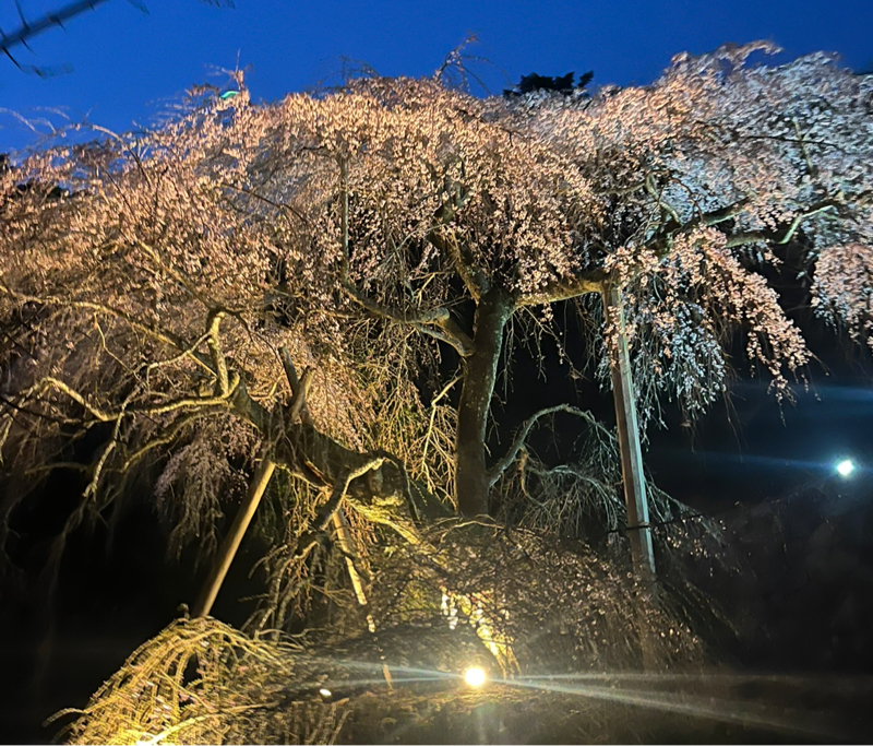 お金の不安ー小林正観さんー主夫