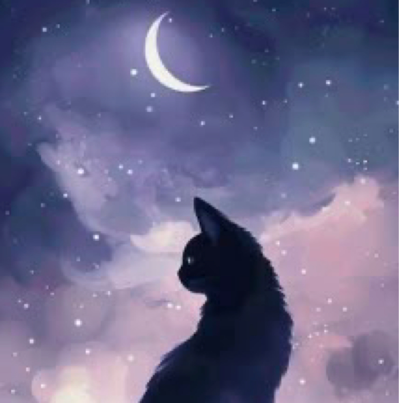 くろねこ's ROOM🌙