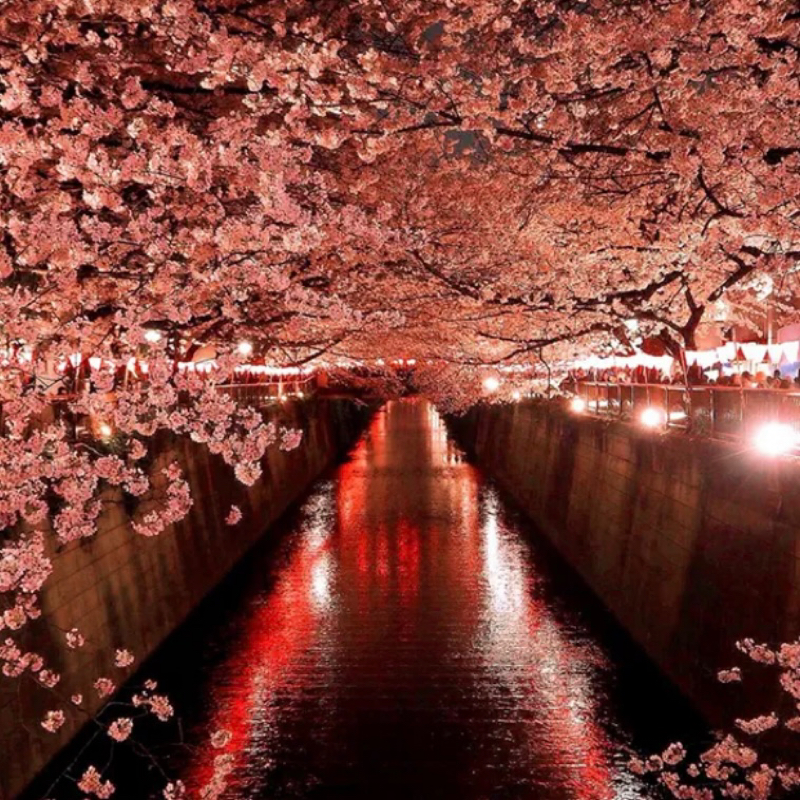 緑酒　　　　東京事変