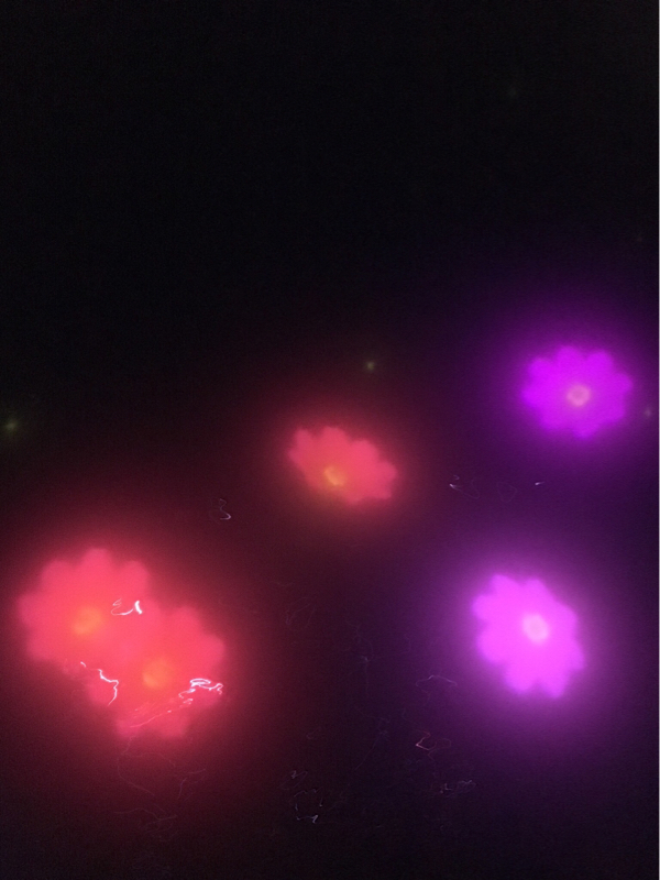 ①はじめまして