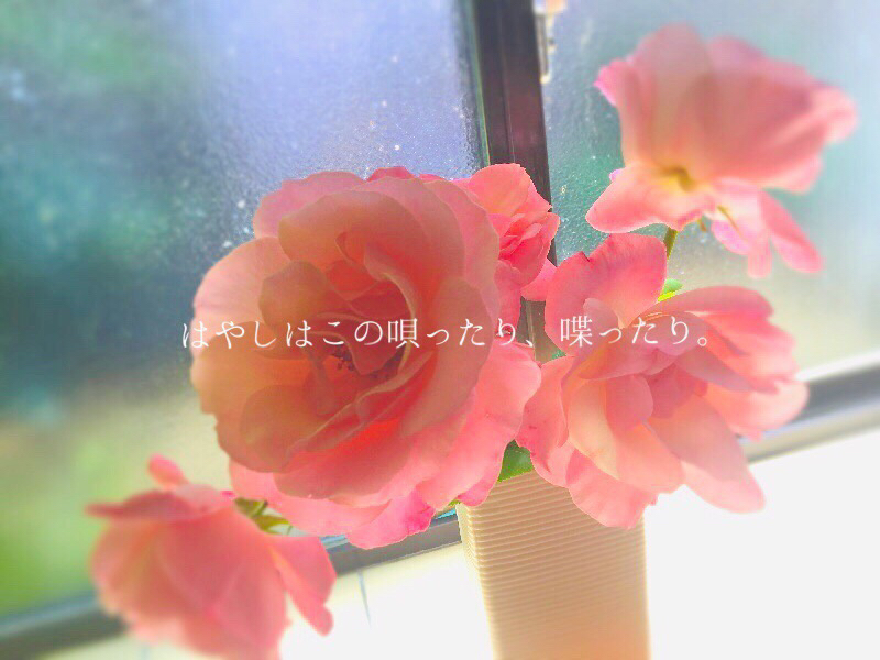 なつぞらとか、酔っ払いとか。