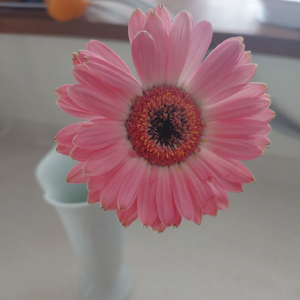 個性のパターンは大きくわけて3つだよ😊