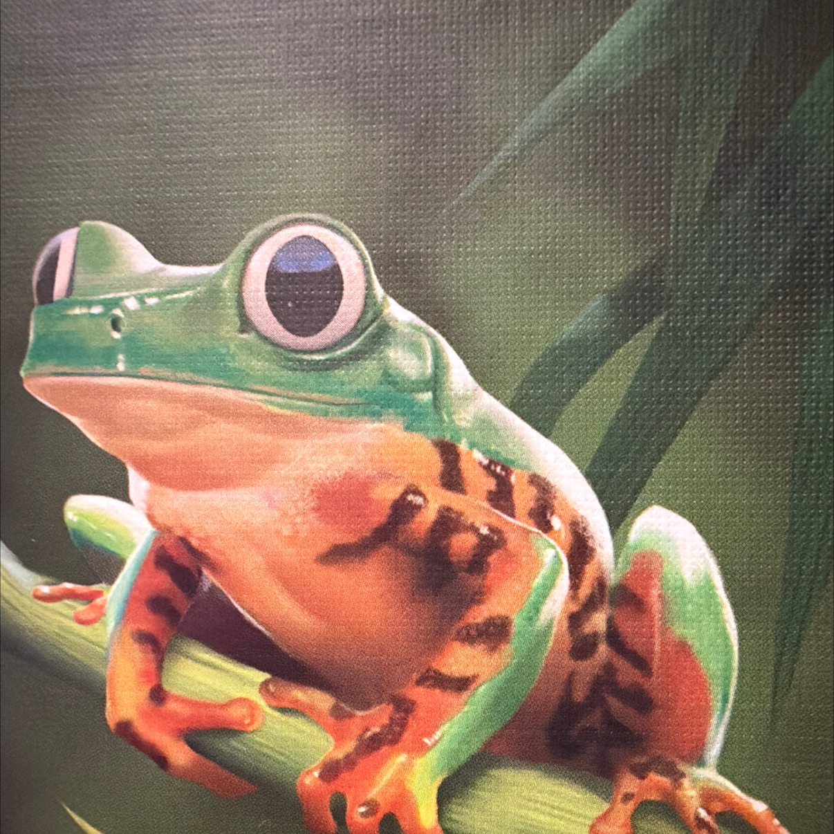 ウォーチェストのキャラランキングver.N