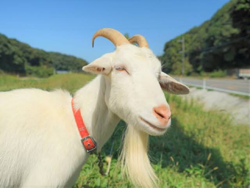 自分が嫌いなグループについて