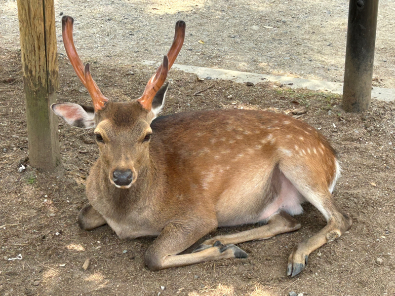 初めての投稿and雑談