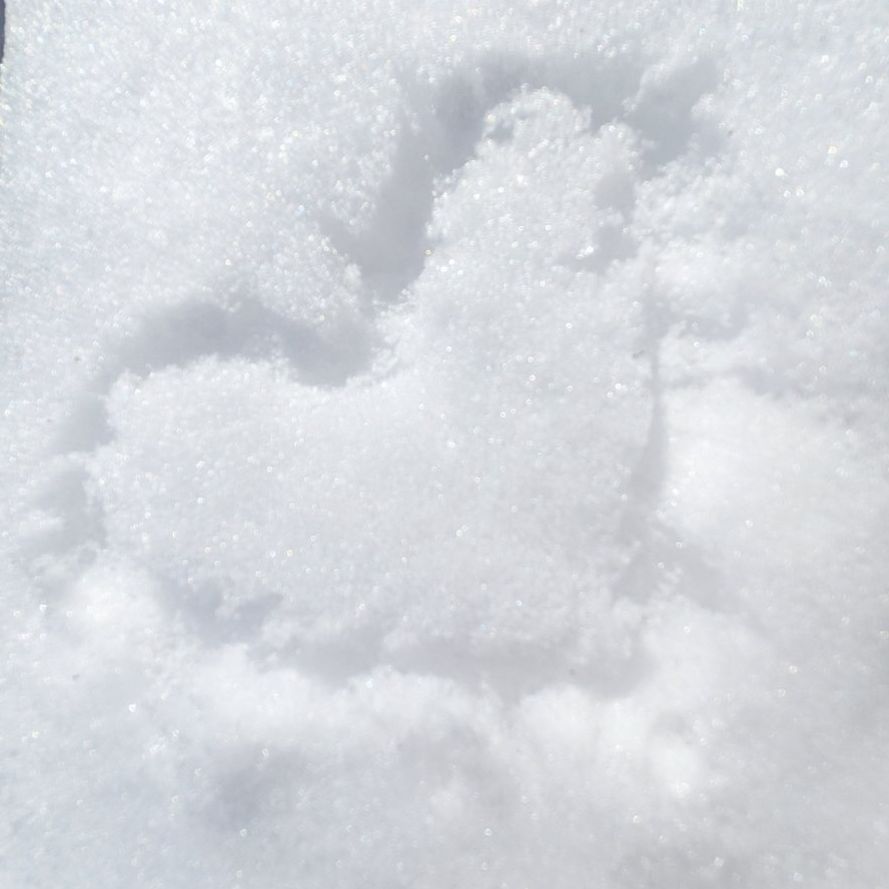 はじめまして！