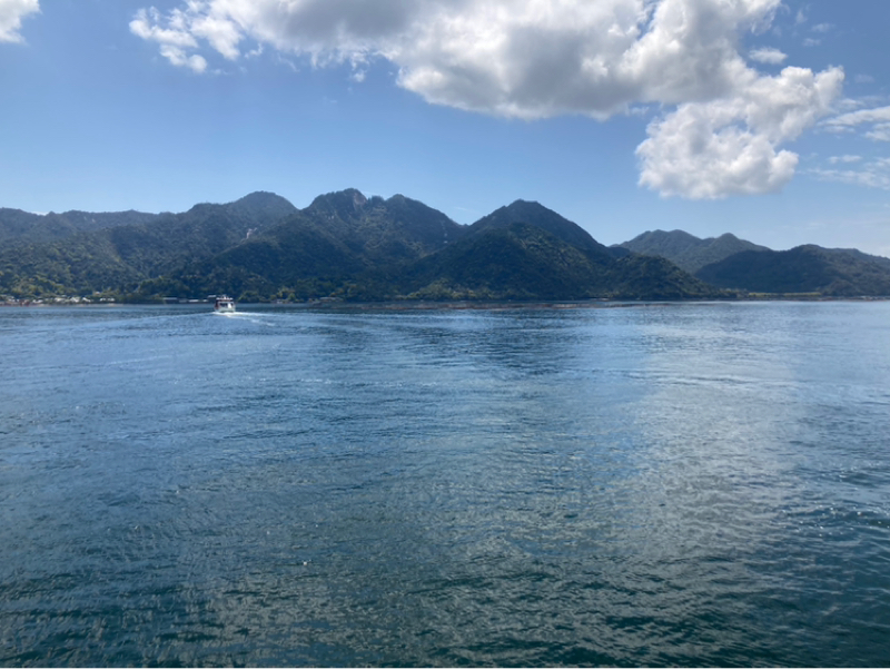 近況