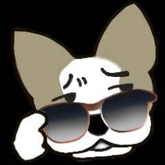 〇〇の番犬チワワ