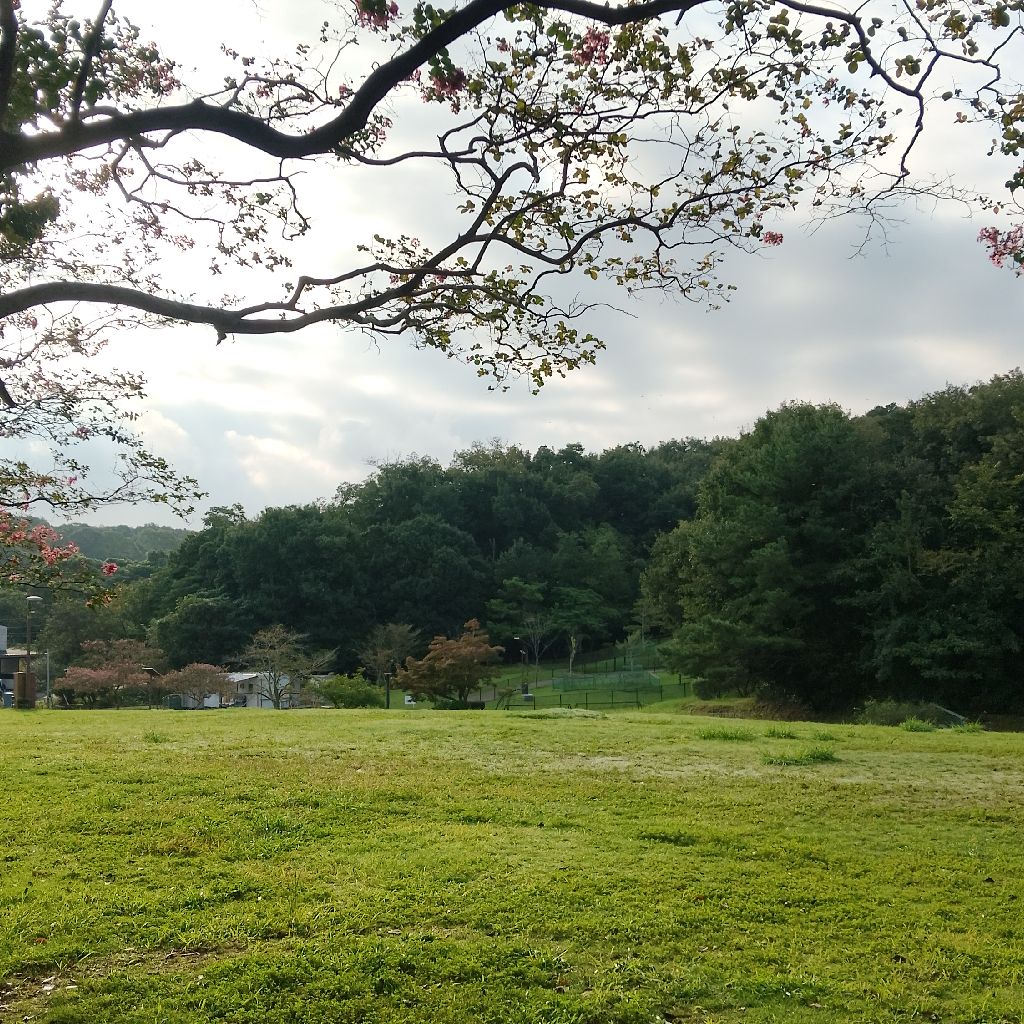 020　朝の散歩しました～