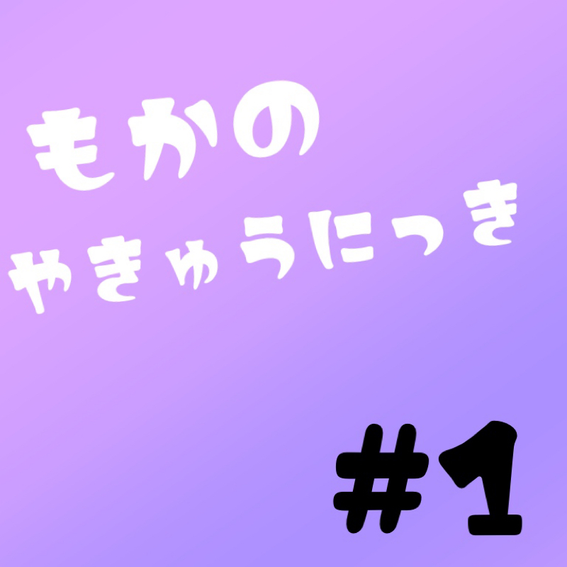 もかの野球日記