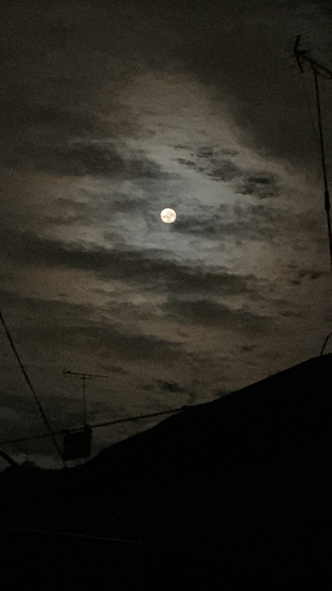 猫と百の物語：第一夜：嵐の中のトラ