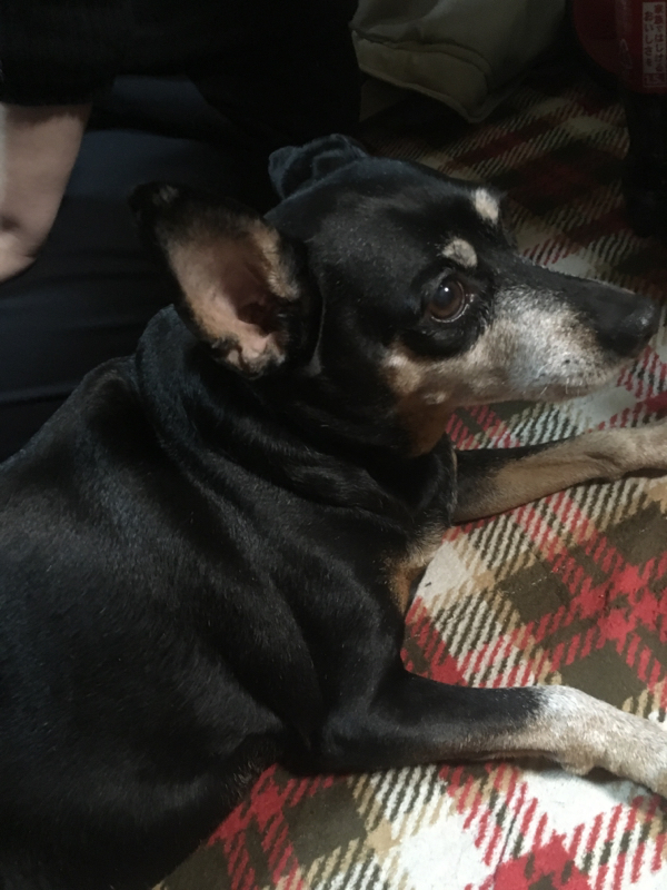 弾き語り練習〜