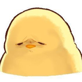 不機嫌ひよこのこと