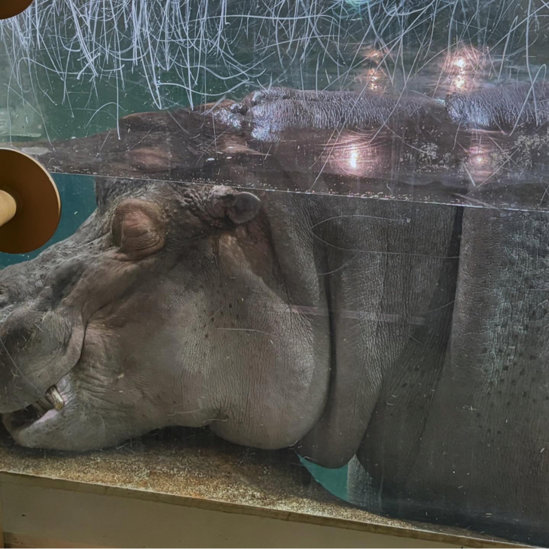 旭山動物園の事件